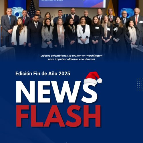 Newsflash Fin de Año 2025